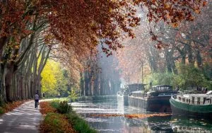 Le-Canal-du-Midi-Une-Merveille-dIngenierie-a-Decouvrir