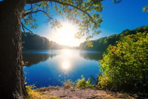 Où partir pour les ponts de mai : l'escapade nature parfaite dans le Tarn